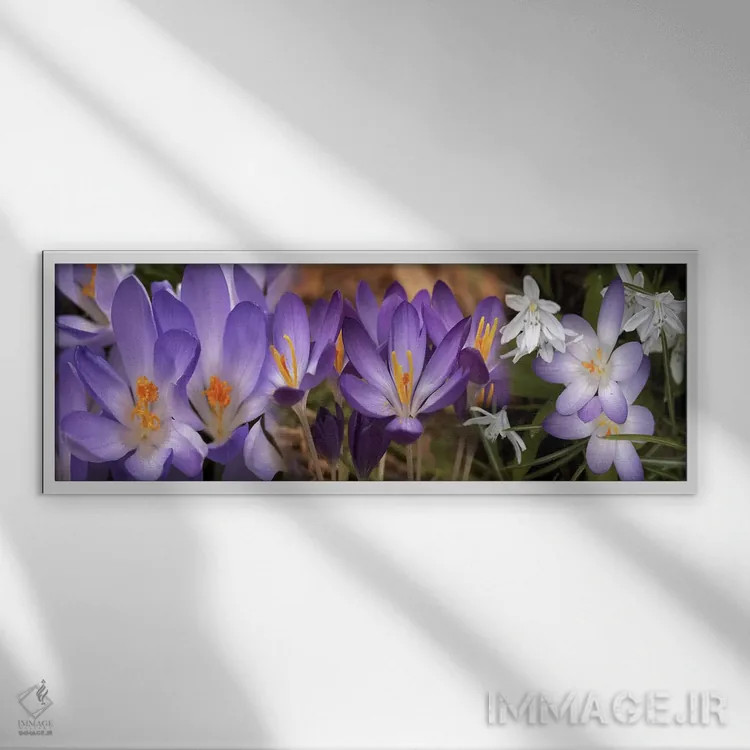 تابلو دکوراتیو جزئیات گل های بهار زودرس و کروکوس اثر پانورامیک ایمجز - نمای قابدار سفید