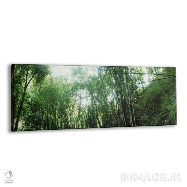 تابلو دکوراتیو جنگل بامبو، چیانگ مای، تایلند #2 اثر پانورامیک ایمجز - نمای پرسپکتیو محصول