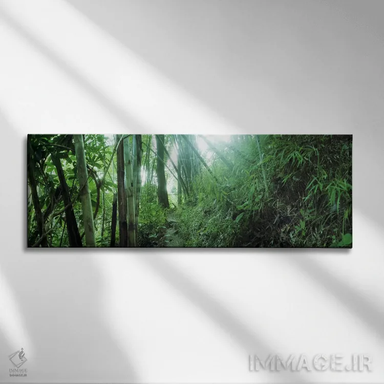 تابلو دکوراتیو جنگل بامبو، چیانگ مای، تایلند اثر پانورامیک ایمجز - نمای روبهرو روی دیوار