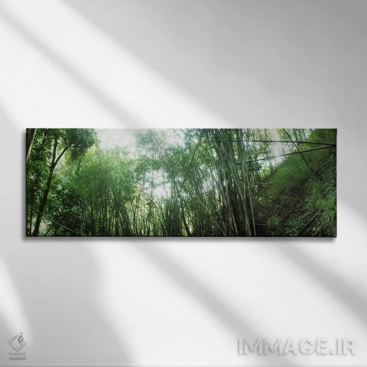 تابلو دکوراتیو جنگل بامبو، چیانگ مای، تایلند #2 اثر پانورامیک ایمجز - نمای روبهرو روی دیوار
