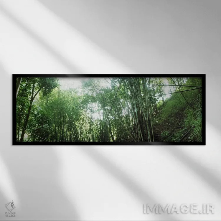 تابلو دکوراتیو جنگل بامبو، چیانگ مای، تایلند #2 اثر پانورامیک ایمجز - نمای قابدار مشکی