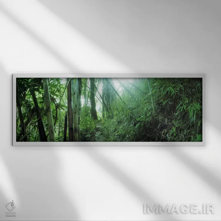 تابلو دکوراتیو جنگل بامبو، چیانگ مای، تایلند اثر پانورامیک ایمجز - نمای قابدار سفید