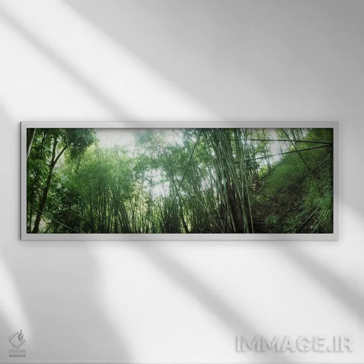 تابلو دکوراتیو جنگل بامبو، چیانگ مای، تایلند #2 اثر پانورامیک ایمجز - نمای قابدار سفید