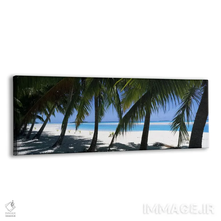 تابلو دکوراتیو درختان نخل در ساحل، آیتوتاکی، جزایر کوک اثر پانورامیک ایمجز - نمای پرسپکتیو محصول