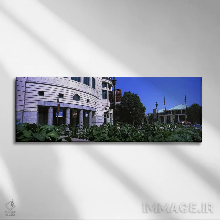 تابلو دکوراتیو موزه ای در یک شهر، موزه علوم طبیعی کارولینای شمالی، رال… اثر پانورامیک ایمجز - نمای روبهرو روی دیوار