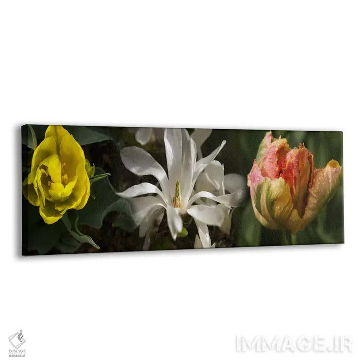 تابلو دکوراتیو نزدیک بینی از گل ها اثر پانورامیک ایمجز - نمای پرسپکتیو محصول