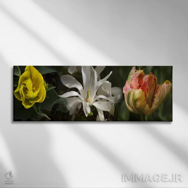 تابلو دکوراتیو نزدیک بینی از گل ها اثر پانورامیک ایمجز - نمای روبهرو روی دیوار