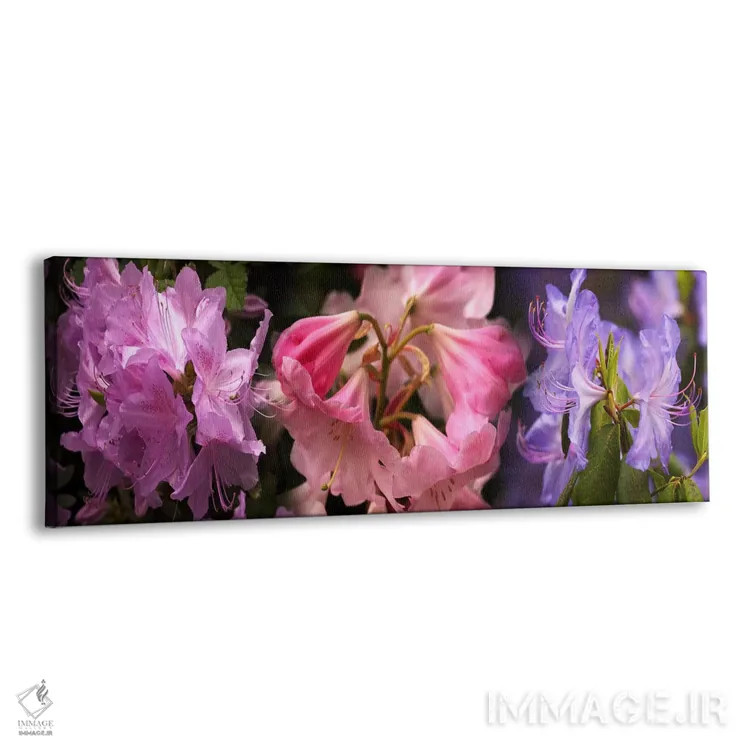 تابلو دکوراتیو گل های رودودندرون رنگارنگ اثر پانورامیک ایمجز - نمای پرسپکتیو محصول