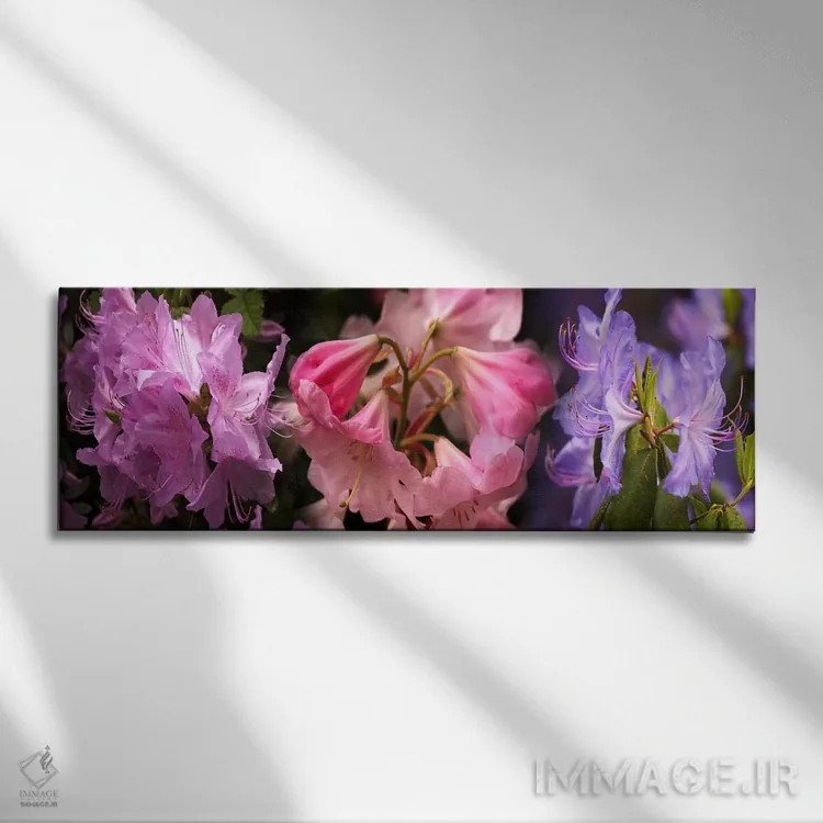 تابلو دکوراتیو گل های رودودندرون رنگارنگ اثر پانورامیک ایمجز - نمای روبهرو روی دیوار