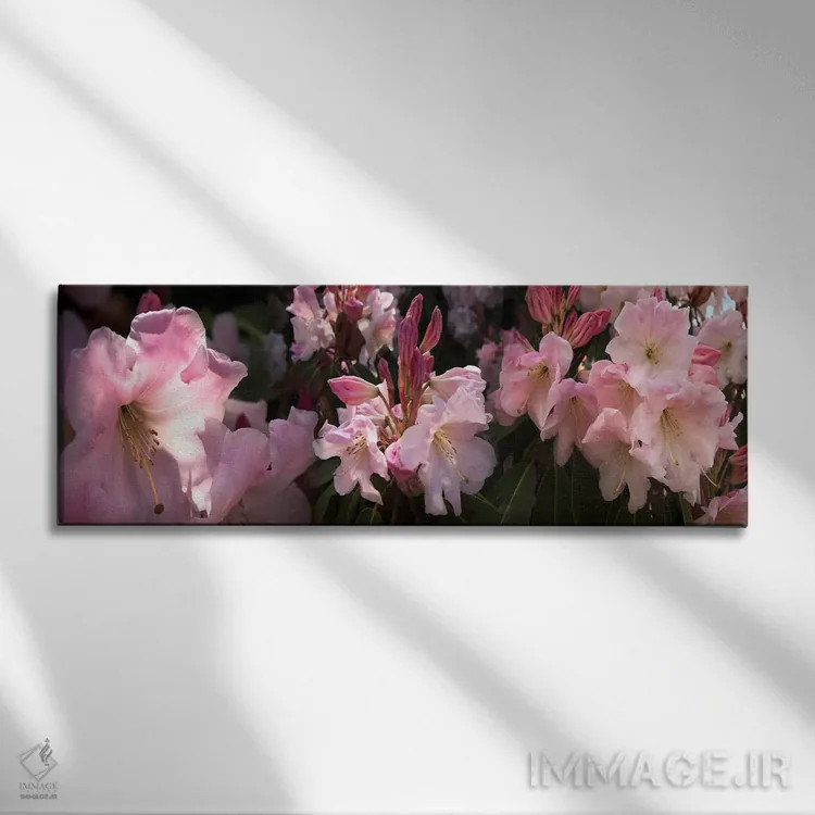 تابلو دکوراتیو نزدیک بینی از گل های رودودندرون صورتی اثر پانورامیک ایمجز - نمای روبهرو روی دیوار