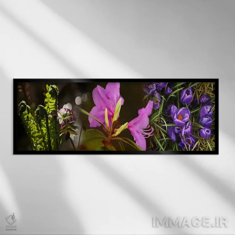 تابلو دکوراتیو نزدیک بینی از گل ها اثر پانورامیک ایمجز - نمای قابدار مشکی