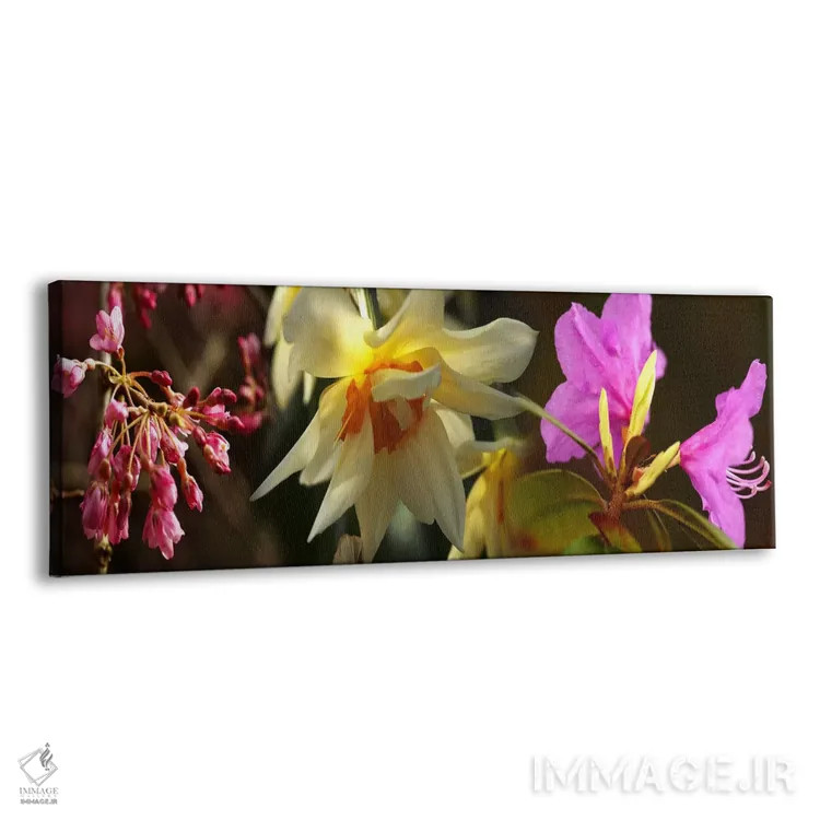 تابلو دکوراتیو نزدیک بینی از گل ها اثر پانورامیک ایمجز - نمای پرسپکتیو محصول