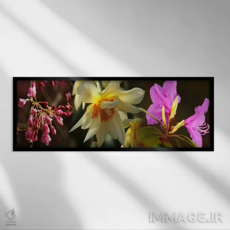 تابلو دکوراتیو نزدیک بینی از گل ها اثر پانورامیک ایمجز - نمای قابدار مشکی