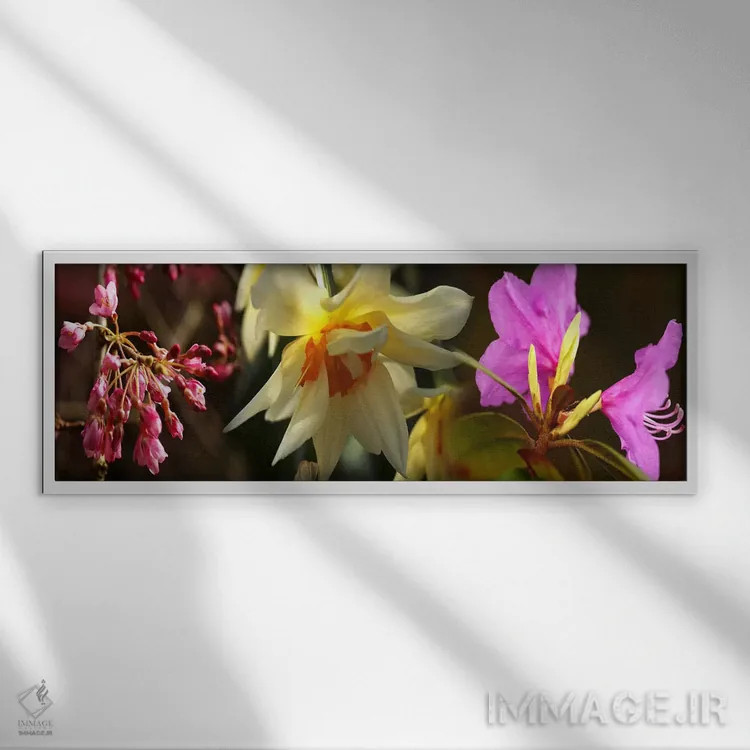 تابلو دکوراتیو نزدیک بینی از گل ها اثر پانورامیک ایمجز - نمای قابدار سفید