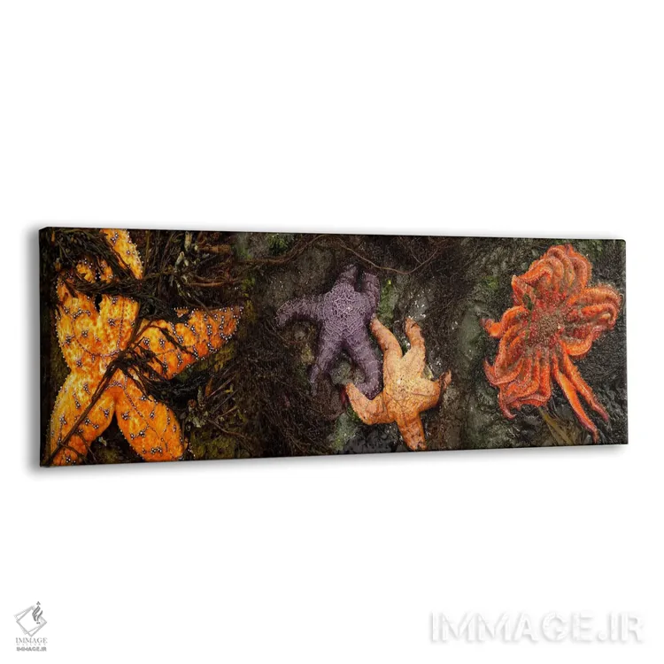 تابلو دکوراتیو ستاره های دریایی اثر پانورامیک ایمجز - نمای پرسپکتیو محصول