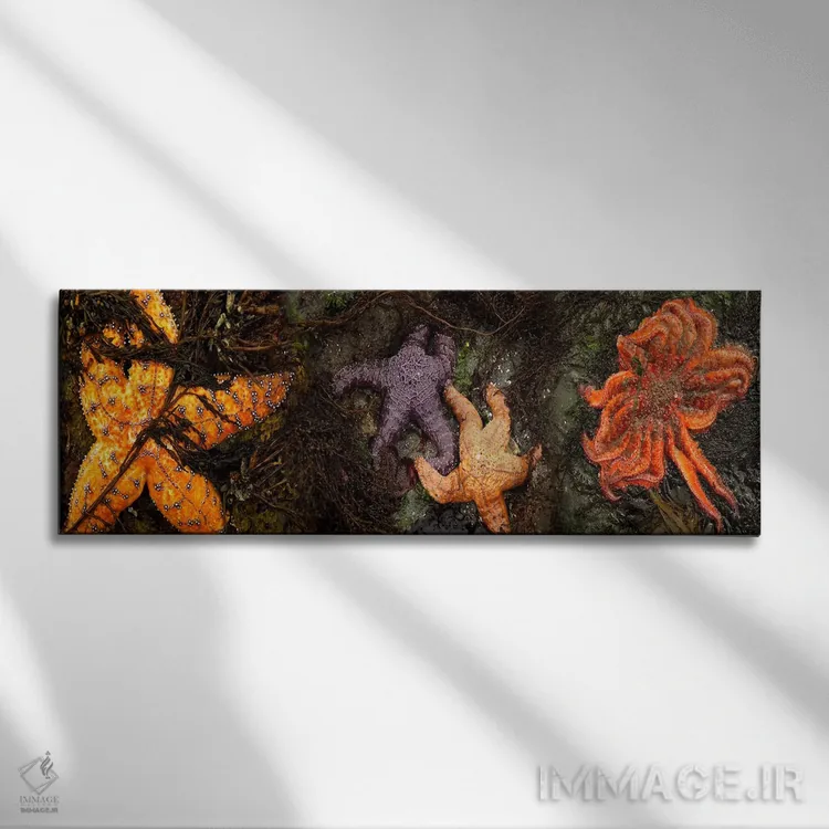 تابلو دکوراتیو ستاره های دریایی اثر پانورامیک ایمجز - نمای روبهرو روی دیوار