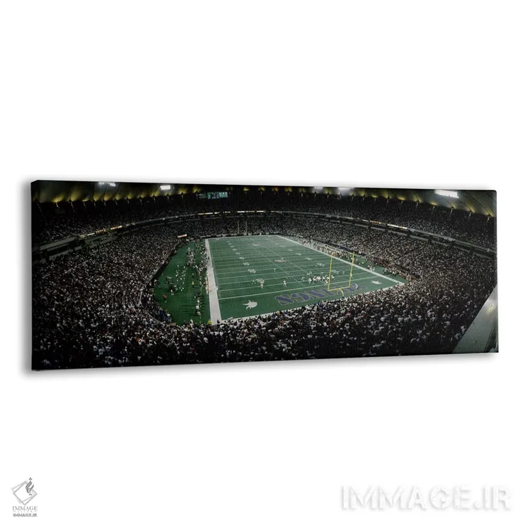 تابلو دکوراتیو تماشاگران در یک استادیوم فوتبال آمریکایی، هیوبرت اچ. هم… اثر پانورامیک ایمجز - نمای پرسپکتیو محصول