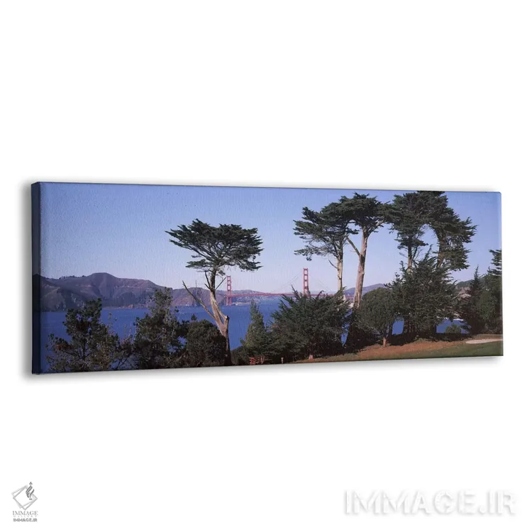 تابلو دکوراتیو Golden Gate Bridge, San Francisco Bay, San Francisco, C… اثر پانورامیک ایمجز - نمای پرسپکتیو محصول