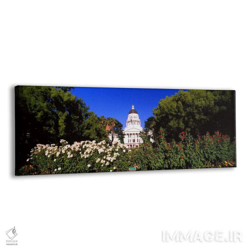 تابلو دکوراتیو California State Capitol Building, Sacramento, Californ… اثر پانورامیک ایمجز - نمای پرسپکتیو محصول