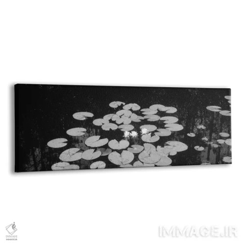 تابلو دکوراتیو Suwannee Canal, Okefenokee National Wildlife Refuge, Ge… اثر پانورامیک ایمجز - نمای پرسپکتیو محصول