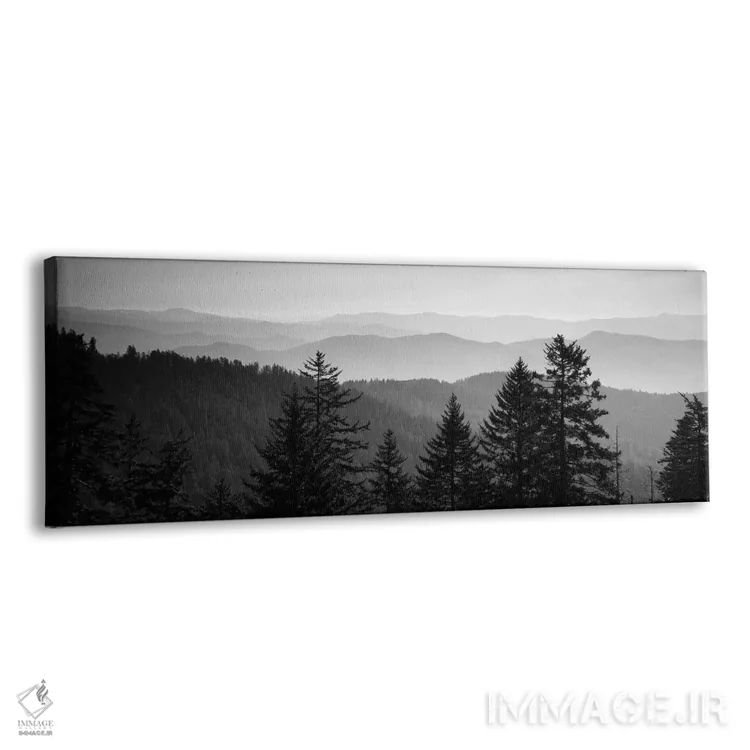 تابلو دکوراتیو Great Smoky Mountains National Park, North Carolina, US… اثر پانورامیک ایمجز - نمای پرسپکتیو محصول