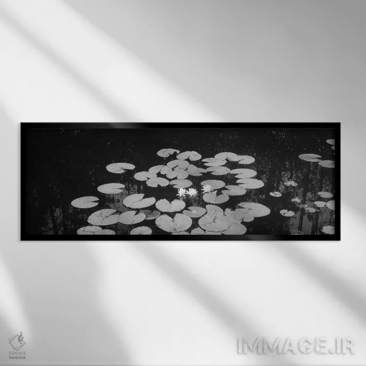 تابلو دکوراتیو Suwannee Canal, Okefenokee National Wildlife Refuge, Ge… اثر پانورامیک ایمجز - نمای قابدار مشکی