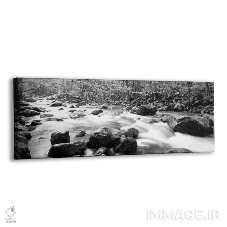 تابلو دکوراتیو Great Smoky Mountains National Park, Tennessee, USA"… اثر پانورامیک ایمجز - نمای پرسپکتیو محصول