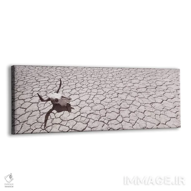 تابلو دکوراتیو USA, California, Mojave Desert" - "جمجمه روی کف صحرا، ا… اثر پانورامیک ایمجز - نمای پرسپکتیو محصول