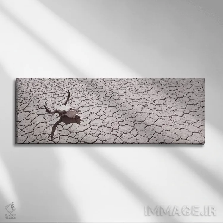تابلو دکوراتیو USA, California, Mojave Desert" - "جمجمه روی کف صحرا، ا… اثر پانورامیک ایمجز - نمای روبهرو روی دیوار