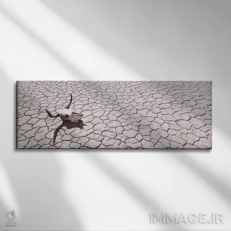 تابلو دکوراتیو USA, California, Mojave Desert" - "جمجمه روی کف صحرا، ا… اثر پانورامیک ایمجز - نمای روبهرو روی دیوار