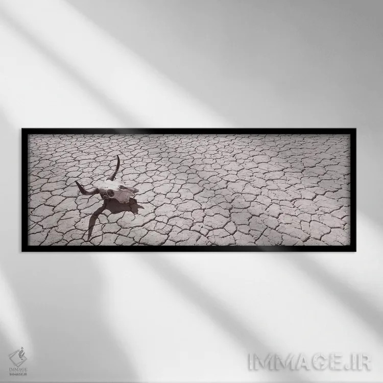 تابلو دکوراتیو USA, California, Mojave Desert" - "جمجمه روی کف صحرا، ا… اثر پانورامیک ایمجز - نمای قابدار مشکی