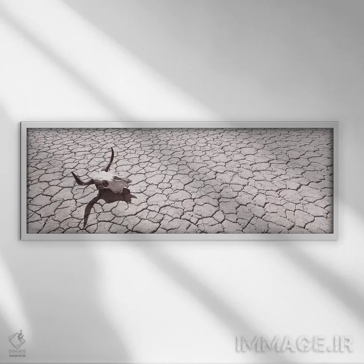 تابلو دکوراتیو USA, California, Mojave Desert" - "جمجمه روی کف صحرا، ا… اثر پانورامیک ایمجز - نمای قابدار سفید