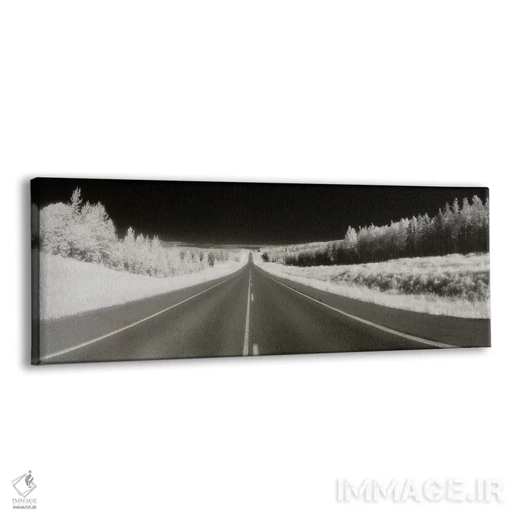 تابلو دکوراتیو Alaska Highway, Alaska, USA" - "جاده ای طولانی پیش رو… اثر پانورامیک ایمجز - نمای پرسپکتیو محصول