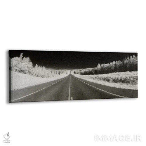 تابلو دکوراتیو Alaska Highway, Alaska, USA" - "جاده ای طولانی پیش رو… اثر پانورامیک ایمجز - نمای پرسپکتیو محصول