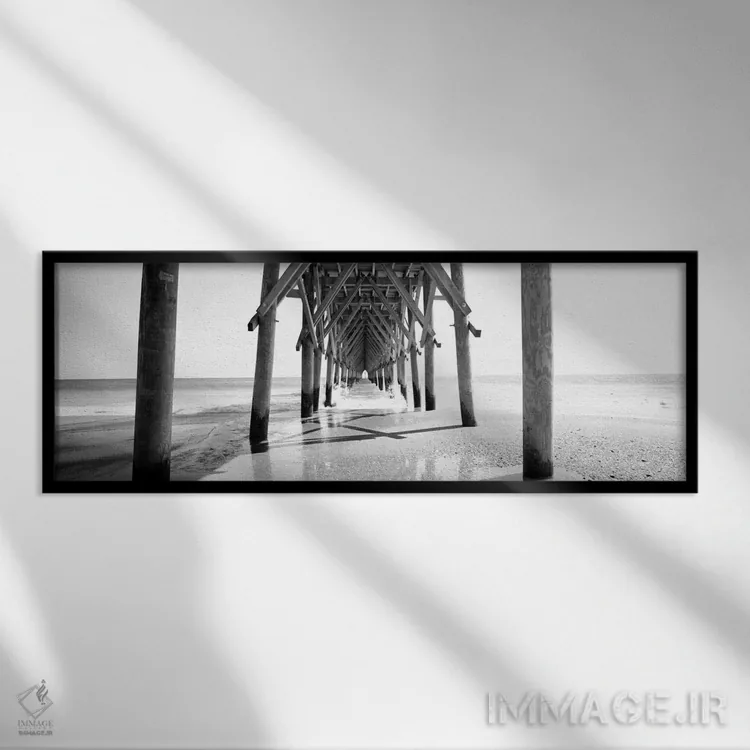 تابلو دکوراتیو North Carolina, USA" - "زیرپل به صورت سیاه وسفید، کارول… اثر پانورامیک ایمجز - نمای قابدار مشکی