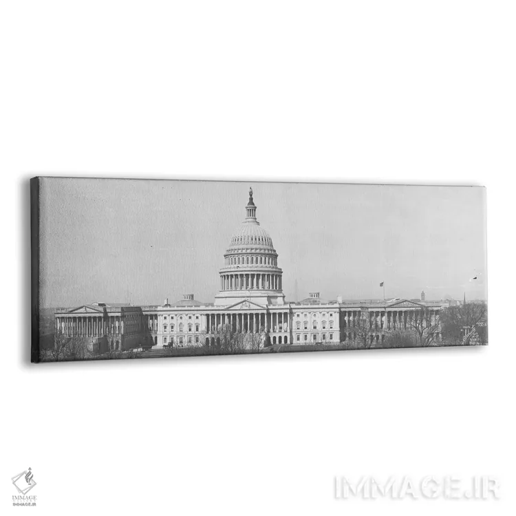 تابلو دکوراتیو ساختمان کنگره آمریکا واشینگتن دی سی ۱۹۱۶ اثر پانورامیک ایمجز - نمای پرسپکتیو محصول