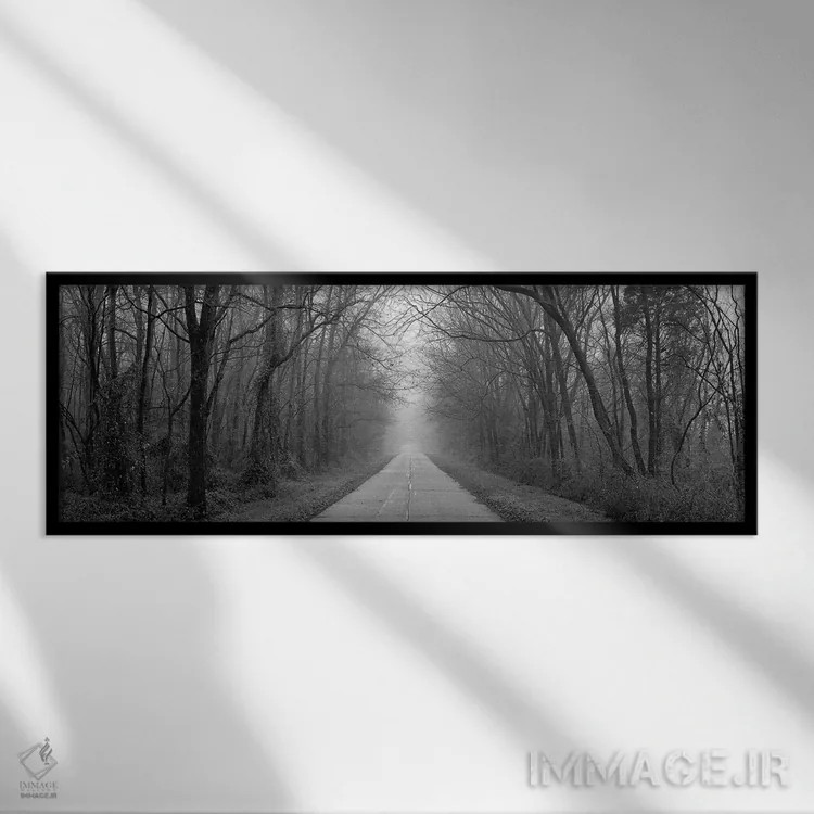 تابلو دکوراتیو جاده مه آلود در میان ردیفی از درختان ایلینوی اثر پانورامیک ایمجز - نمای قابدار مشکی