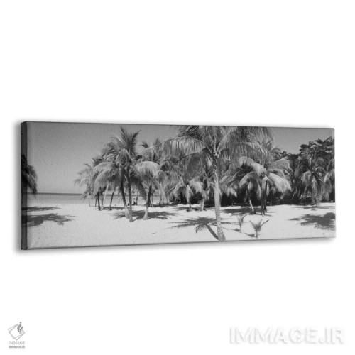 تابلو دکوراتیو Negril, Jamaica" - "درختان نخل در ساحل به صورت سیاه و س… اثر پانورامیک ایمجز - نمای پرسپکتیو محصول