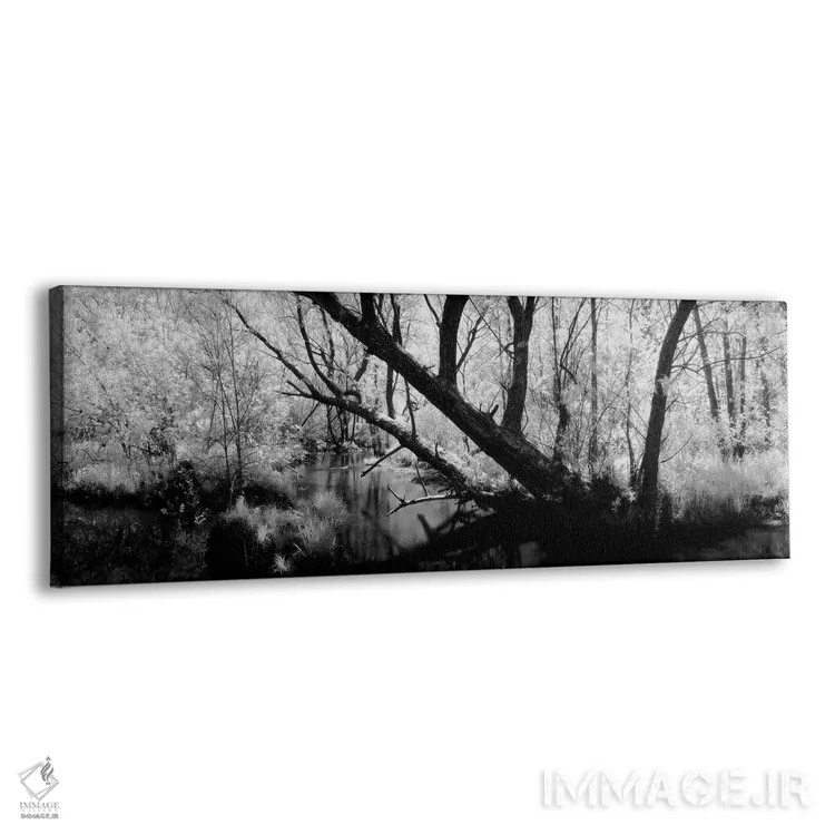 تابلو دکوراتیو Wisconsin, Stream of water flowing through a forest"… اثر پانورامیک ایمجز - نمای پرسپکتیو محصول