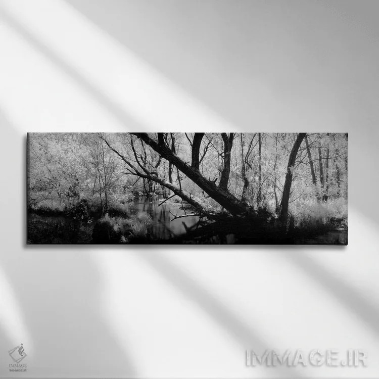تابلو دکوراتیو Wisconsin, Stream of water flowing through a forest"… اثر پانورامیک ایمجز - نمای روبهرو روی دیوار