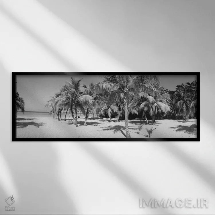 تابلو دکوراتیو Negril, Jamaica" - "درختان نخل در ساحل به صورت سیاه و س… اثر پانورامیک ایمجز - نمای قابدار مشکی