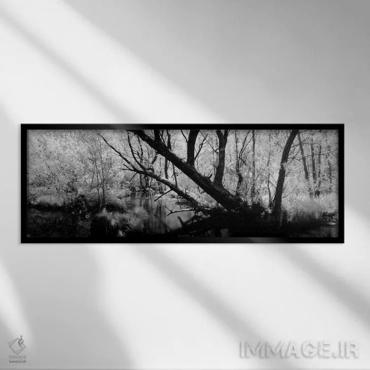 تابلو دکوراتیو Wisconsin, Stream of water flowing through a forest"… اثر پانورامیک ایمجز - نمای قابدار مشکی