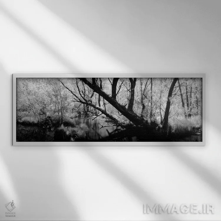 تابلو دکوراتیو Wisconsin, Stream of water flowing through a forest"… اثر پانورامیک ایمجز - نمای قابدار سفید
