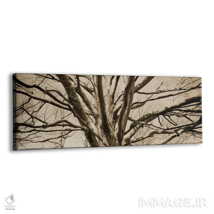 تابلو دکوراتیو نما از زاویه پایین از درختی بی برگ اثر پانورامیک ایمجز - نمای پرسپکتیو محصول