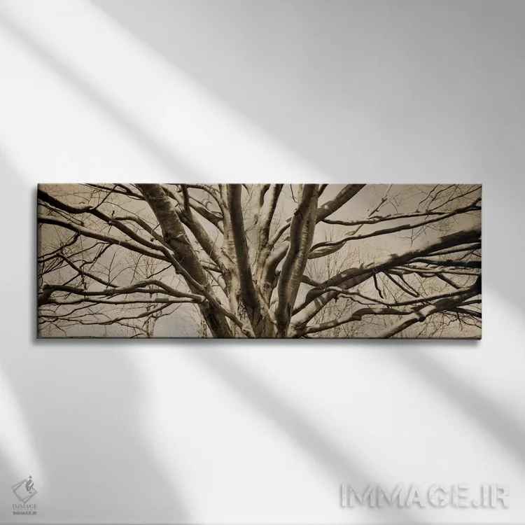 تابلو دکوراتیو نما از زاویه پایین از درختی بی برگ اثر پانورامیک ایمجز - نمای روبهرو روی دیوار