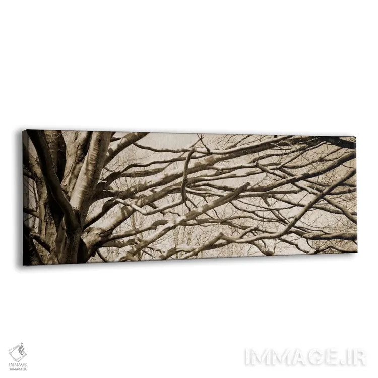 تابلو دکوراتیو نما از زاویه پایین از درختی بی برگ - شماره ۲ اثر پانورامیک ایمجز - نمای پرسپکتیو محصول