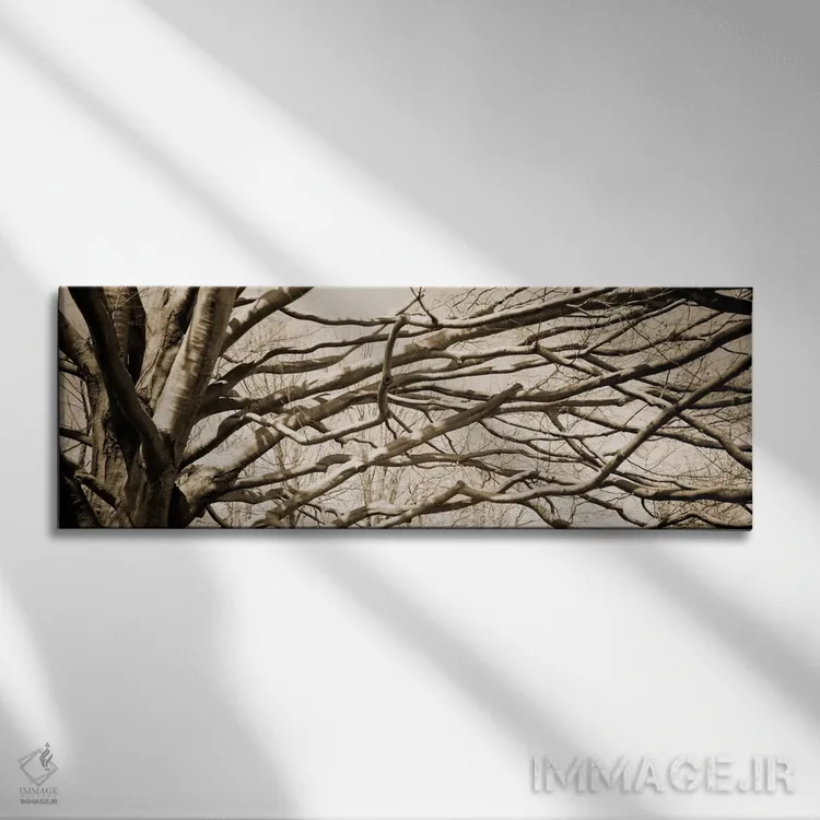 تابلو دکوراتیو نما از زاویه پایین از درختی بی برگ - شماره ۲ اثر پانورامیک ایمجز - نمای روبهرو روی دیوار