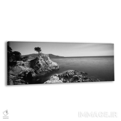 تابلو دکوراتیو 17-Mile Drive, California, USA" - "درخت سایپرس تنها، جا… اثر پانورامیک ایمجز - نمای پرسپکتیو محصول