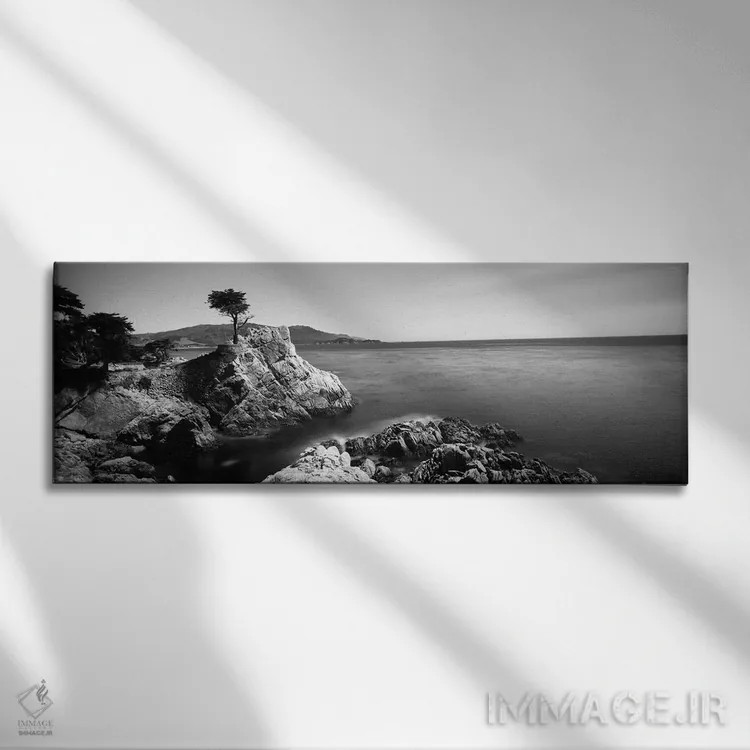 تابلو دکوراتیو 17-Mile Drive, California, USA" - "درخت سایپرس تنها، جا… اثر پانورامیک ایمجز - نمای روبهرو روی دیوار