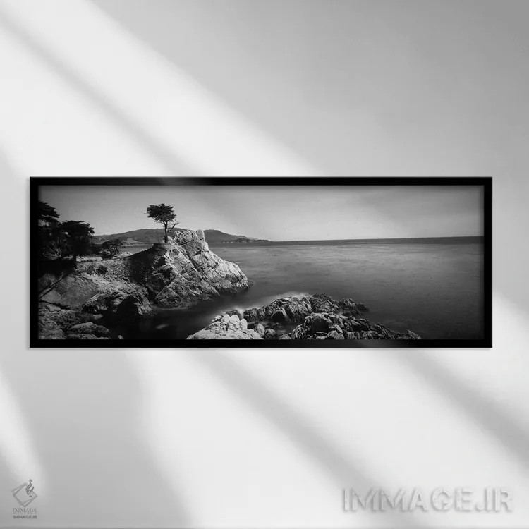 تابلو دکوراتیو 17-Mile Drive, California, USA" - "درخت سایپرس تنها، جا… اثر پانورامیک ایمجز - نمای قابدار مشکی
